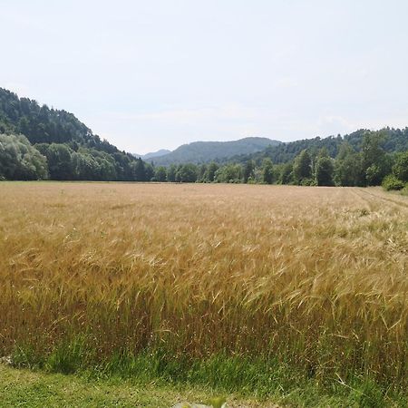 Hiska Zeleni Raj Villa Podnart Luaran gambar