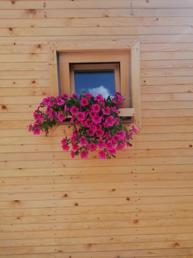 Hiska Zeleni Raj Villa Podnart Luaran gambar