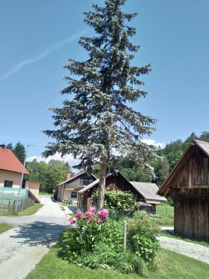 Hiska Zeleni Raj Villa Podnart Luaran gambar