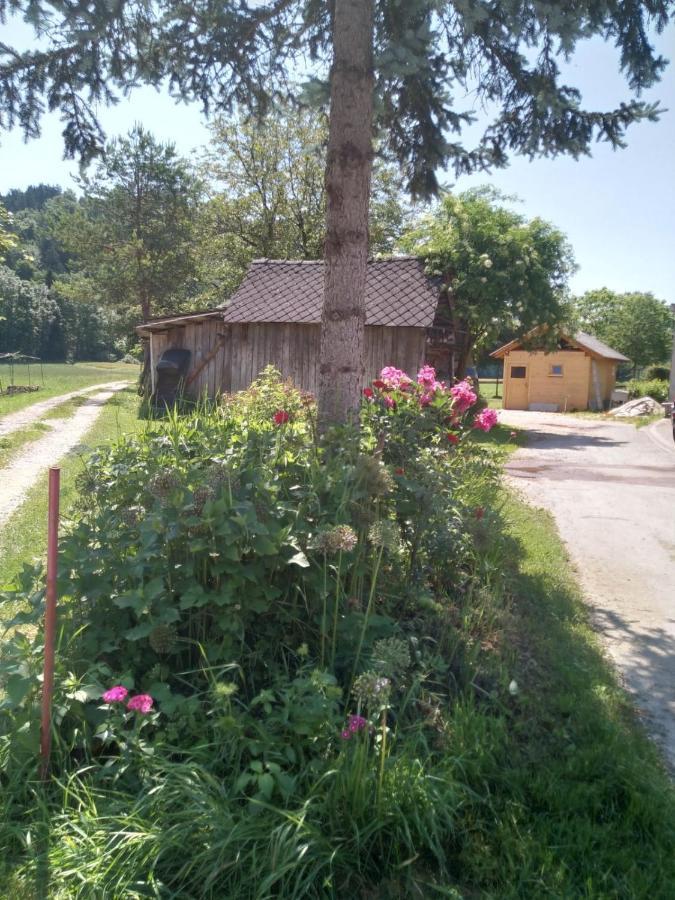 Hiska Zeleni Raj Villa Podnart Luaran gambar